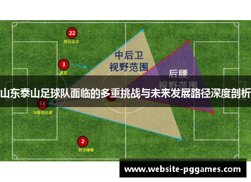 山东泰山足球队面临的多重挑战与未来发展路径深度剖析
