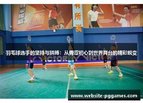 羽毛球选手的坚持与拼搏：从青涩初心到世界舞台的精彩蜕变