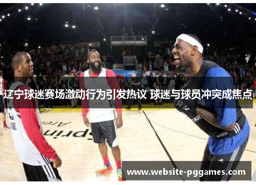 辽宁球迷赛场激动行为引发热议 球迷与球员冲突成焦点