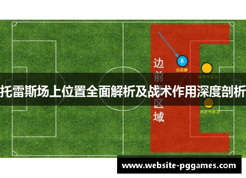 托雷斯场上位置全面解析及战术作用深度剖析