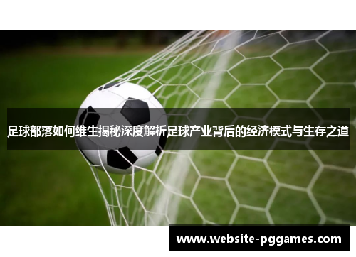 足球部落如何维生揭秘深度解析足球产业背后的经济模式与生存之道